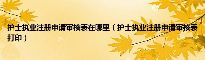 护士执业注册申请审核表在哪里（护士执业注册申请审核表打印）