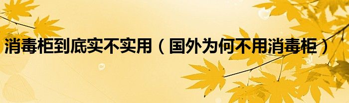 消毒柜到底实不实用（国外为何不用消毒柜）