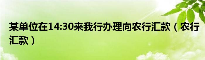 某单位在14:30来我行办理向农行汇款（农行汇款）