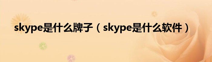 skype是什么牌子（skype是什么软件）