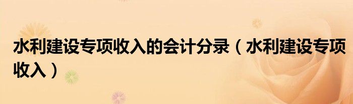 水利建设专项收入的会计分录（水利建设专项收入）