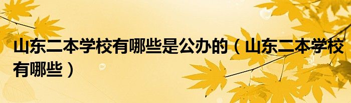 山东二本学校有哪些是公办的（山东二本学校有哪些）