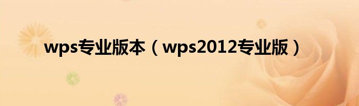 wps专业版本（wps2012专业版）