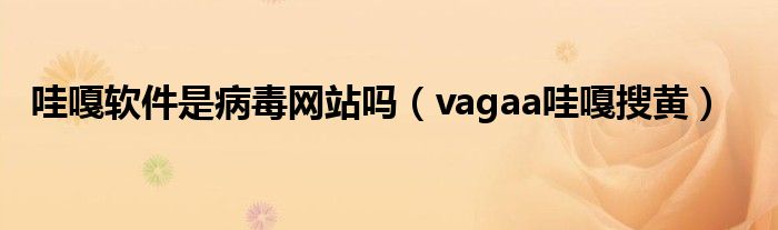 哇嘎软件是病毒网站吗（vagaa哇嘎搜黄）