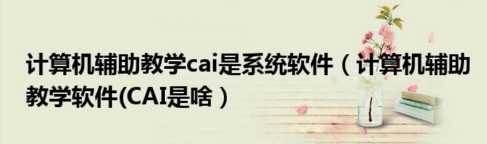 计算机辅助教学cai是系统软件（计算机辅助教学软件(CAI是啥）