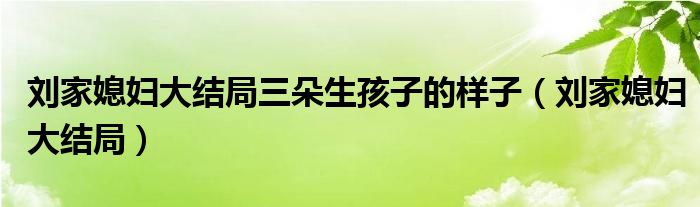 刘家媳妇大结局三朵生孩子的样子（刘家媳妇大结局）