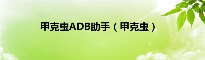 甲克虫ADB助手（甲克虫）