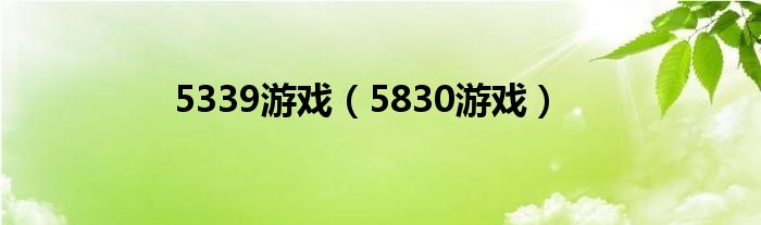 5339游戏（5830游戏）