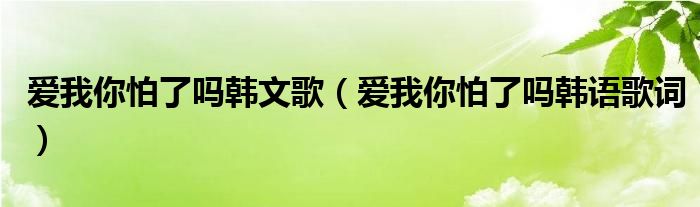 爱我你怕了吗韩文歌（爱我你怕了吗韩语歌词）