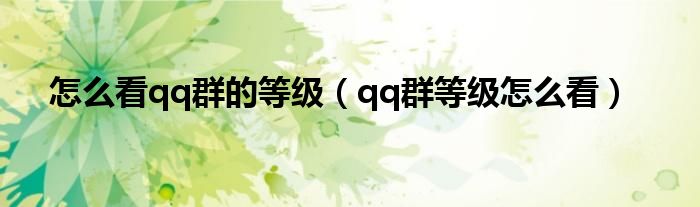 怎么看qq群的等级（qq群等级怎么看）