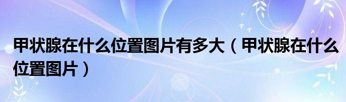 甲状腺在什么位置图片有多大（甲状腺在什么位置图片）