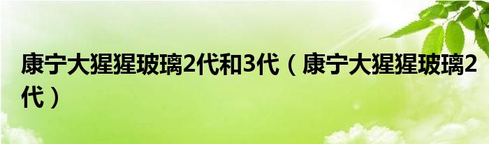 康宁大猩猩玻璃2代和3代（康宁大猩猩玻璃2代）