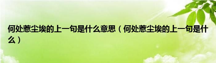 何处惹尘埃的上一句是什么意思（何处惹尘埃的上一句是什么）