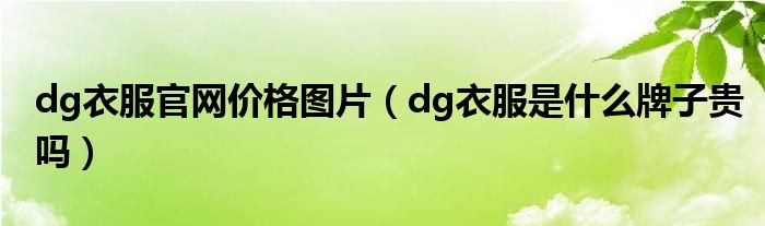 dg衣服官网价格图片（dg衣服是什么牌子贵吗）