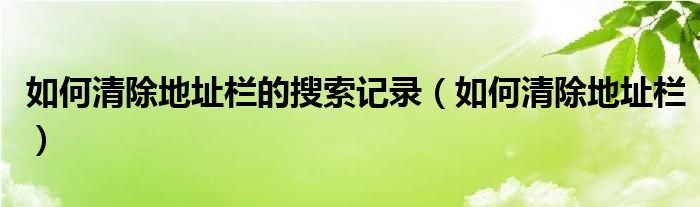 如何清除地址栏的搜索记录（如何清除地址栏）