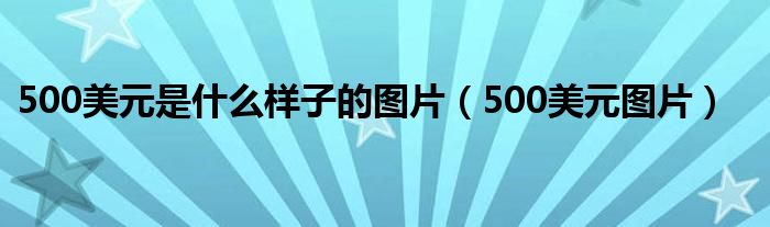 500美元是什么样子的图片（500美元图片）