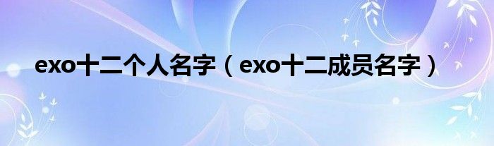 exo十二个人名字（exo十二成员名字）