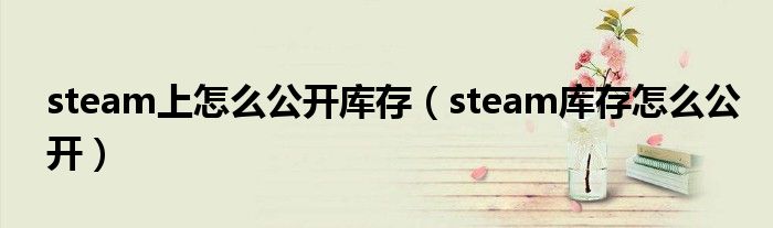 steam上怎么公开库存（steam库存怎么公开）