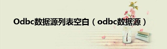 Odbc数据源列表空白（odbc数据源）