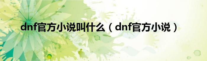 dnf官方小说叫什么（dnf官方小说）