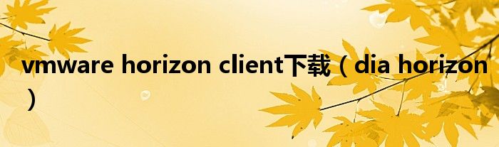 vmware horizon client下载（dia horizon）