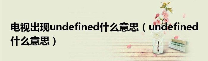 电视出现undefined什么意思（undefined 什么意思）