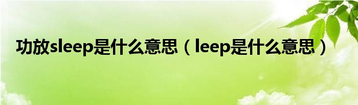 功放sleep是什么意思（leep是什么意思）