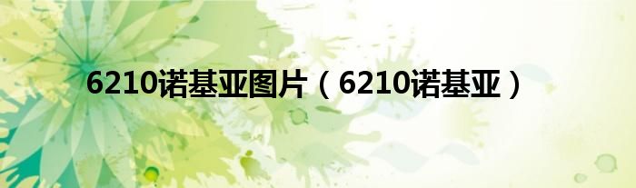 6210诺基亚图片（6210诺基亚）