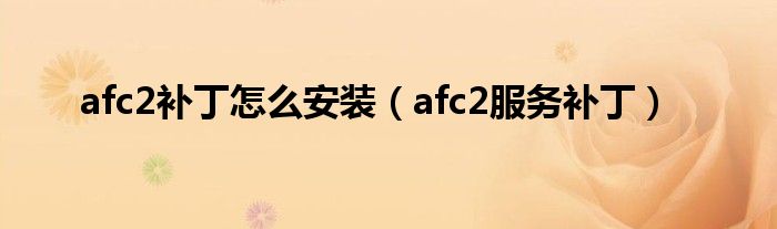 afc2补丁怎么安装（afc2服务补丁）