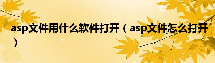 asp文件用什么软件打开（asp文件怎么打开）