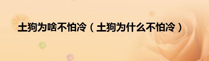 土狗为啥不怕冷（土狗为什么不怕冷）