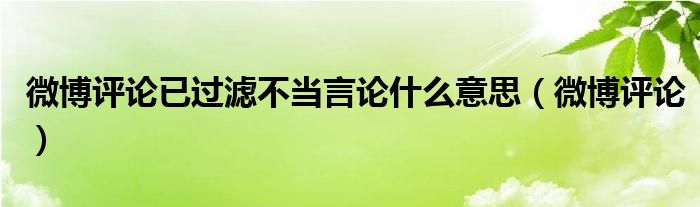 微博评论已过滤不当言论什么意思（微博评论）