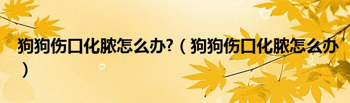 狗狗伤口化脓怎么办?（狗狗伤口化脓怎么办）