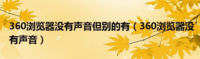 360浏览器没有声音但别的有（360浏览器没有声音）