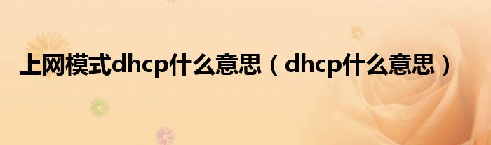 上网模式dhcp什么意思（dhcp什么意思）