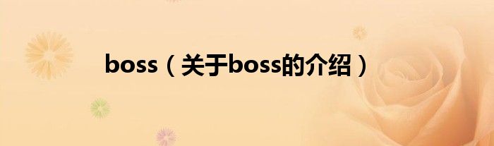 boss（关于boss的介绍）