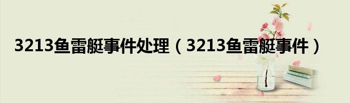 3213鱼雷艇事件处理（3213鱼雷艇事件）