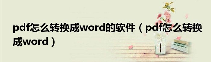 pdf怎么转换成word的软件（pdf怎么转换成word）