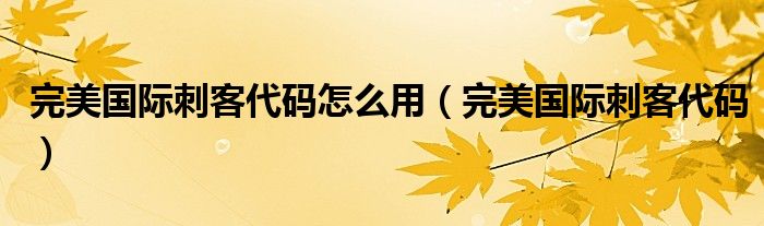 完美国际刺客代码怎么用（完美国际刺客代码）