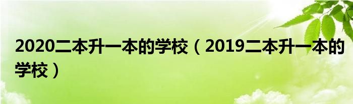 2020二本升一本的学校（2019二本升一本的学校）