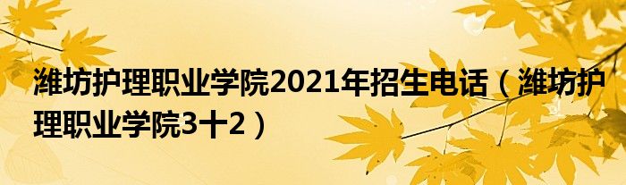 潍坊护理职业学院2021年招生电话（潍坊护理职业学院3十2）