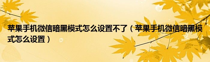 苹果手机微信暗黑模式怎么设置不了（苹果手机微信暗黑模式怎么设置）