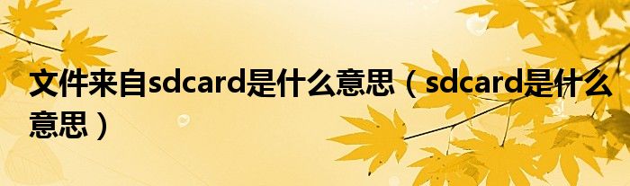 文件来自sdcard是什么意思（sdcard是什么意思）