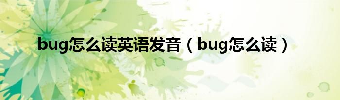 bug怎么读英语发音（bug怎么读）