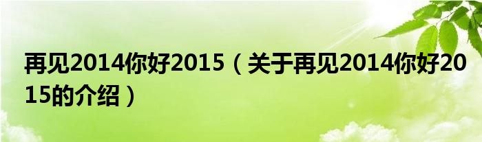 再见2014你好2015（关于再见2014你好2015的介绍）