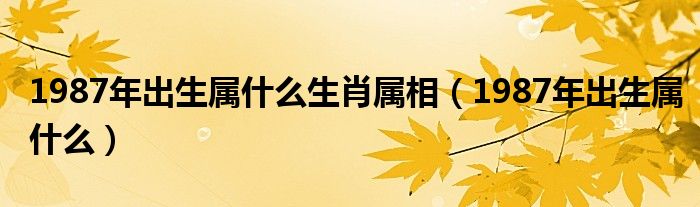 1987年出生属什么生肖属相（1987年出生属什么）