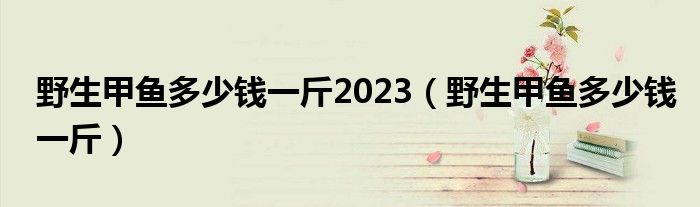 野生甲鱼多少钱一斤2023（野生甲鱼多少钱一斤）