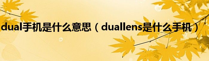 dual手机是什么意思（duallens是什么手机）