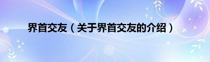 界首交友（关于界首交友的介绍）