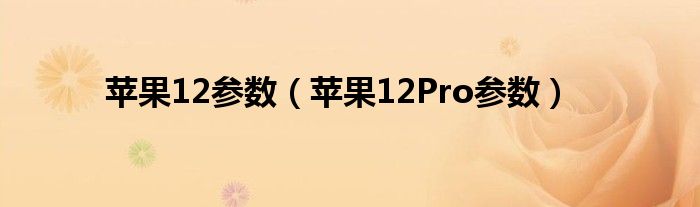 苹果12参数（苹果12Pro参数）